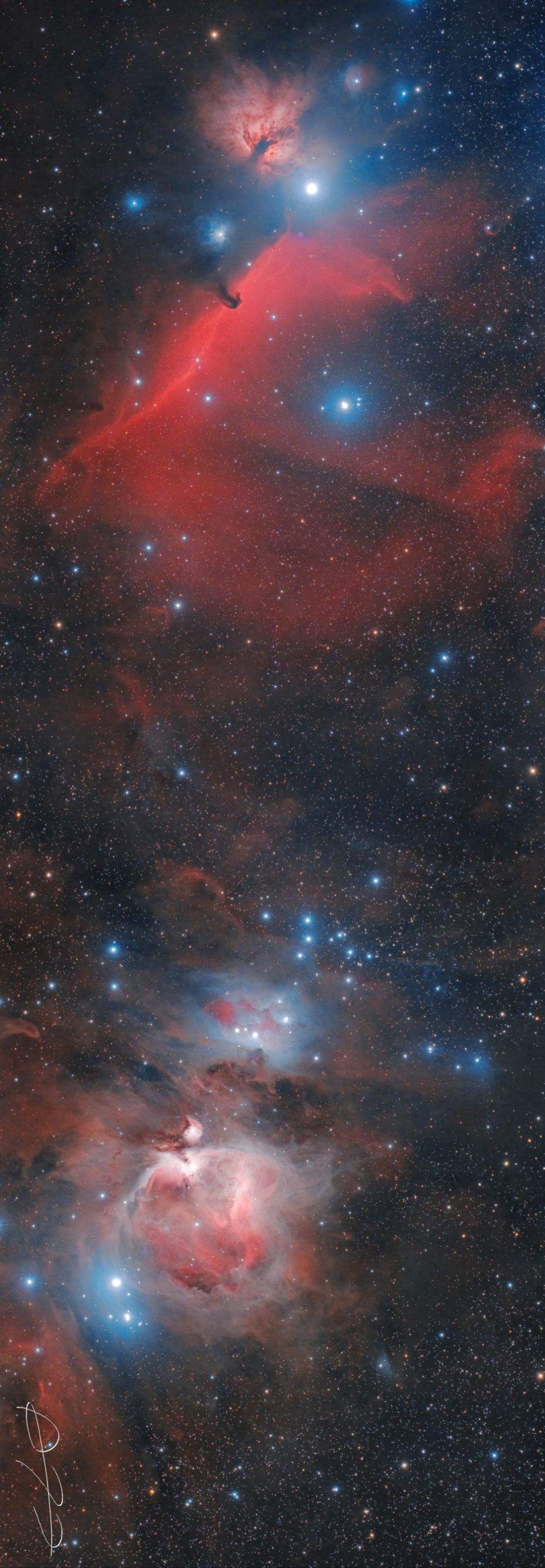 todas las nebulosas de Ori�n en una astrofoto-mosaico